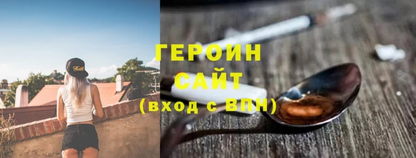 гашик Алексин