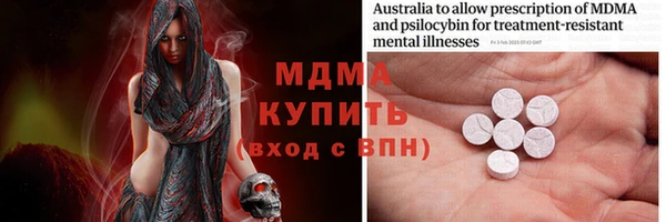 гашик Алексин