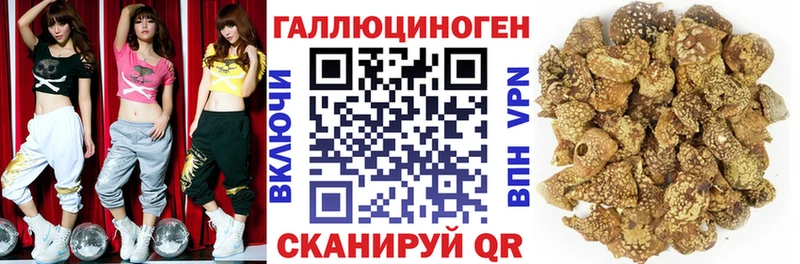 Псилоцибиновые грибы Psilocybe дарнет шоп Димитровград